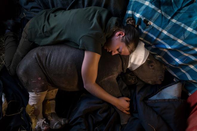 world press photo contest