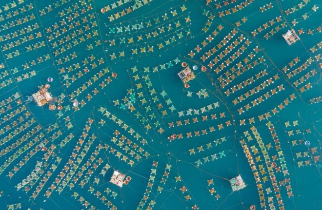 lobstars skypixel aerial photography