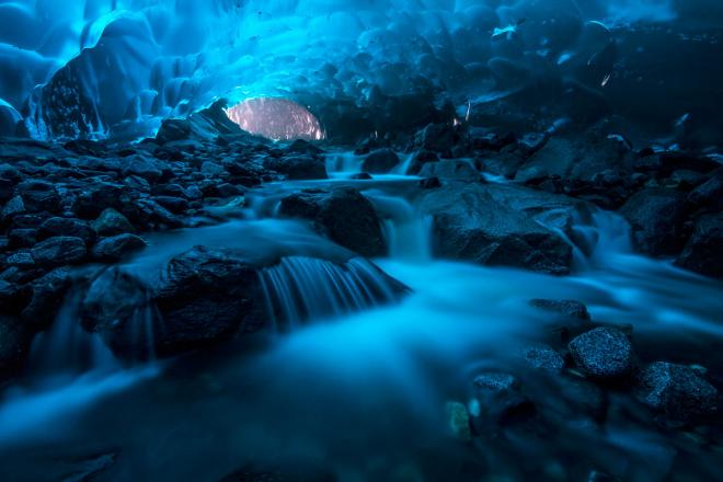 photography contest winners