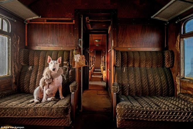 photography contest winners