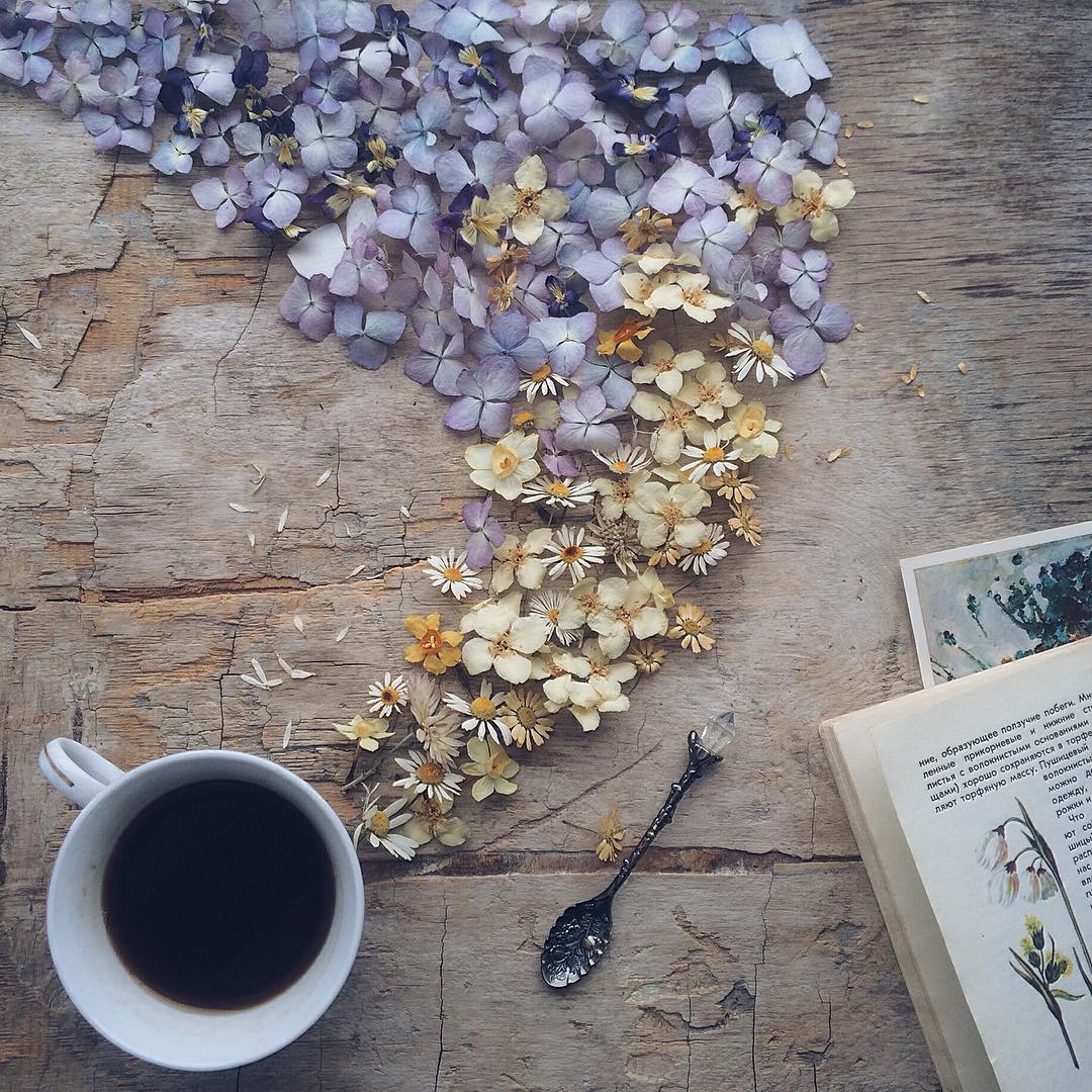15 floral tea story by marina malinovaya