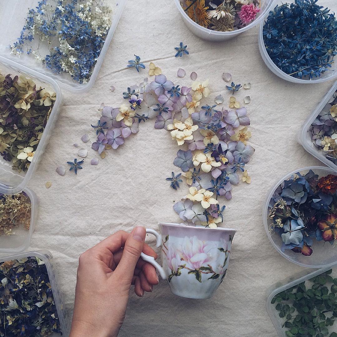16 floral tea story by marina malinovaya