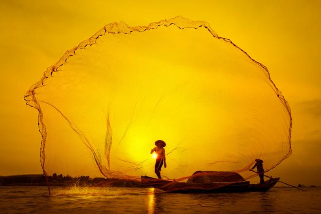 photography contest winners
