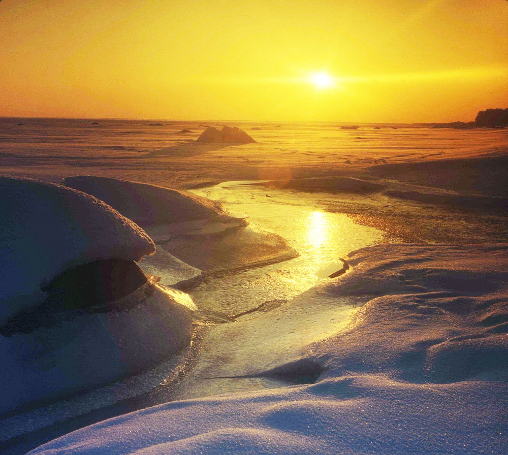 3 international filter photo contest