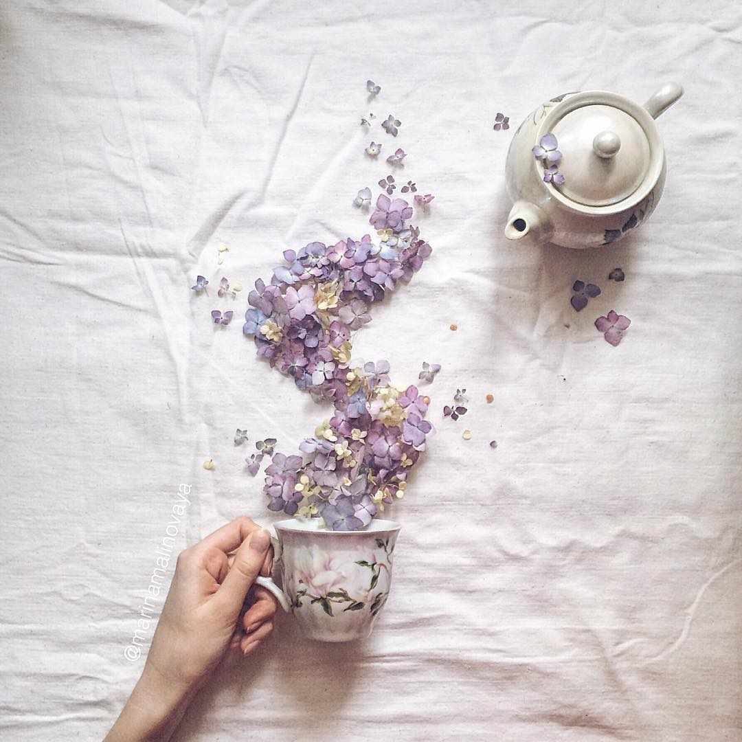 4 floral tea story by marina malinovaya