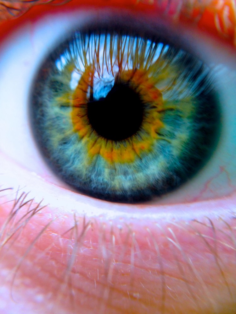 4 international filter photo contest