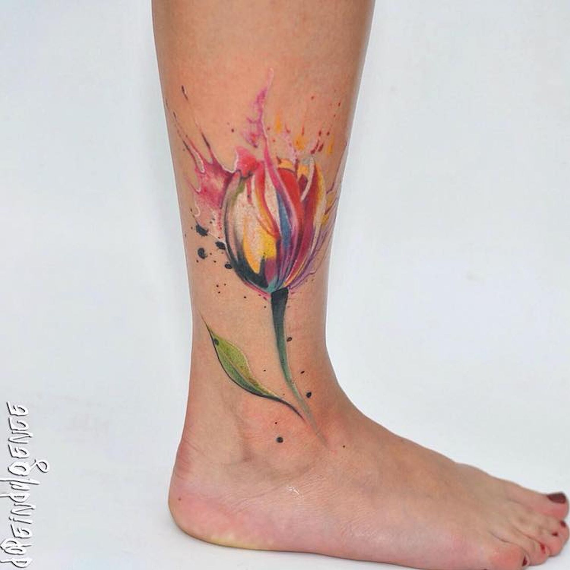 4 watercolor styled tattoo art by aleksandra