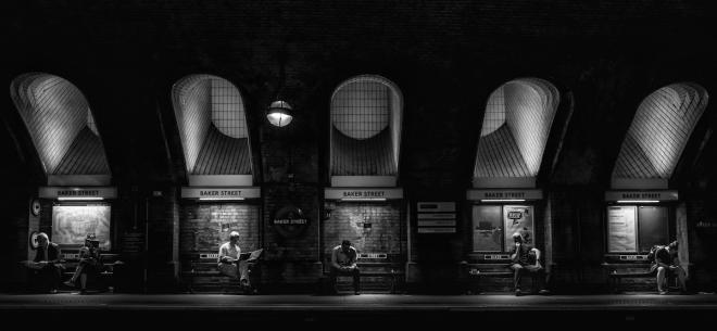 photography contest winners