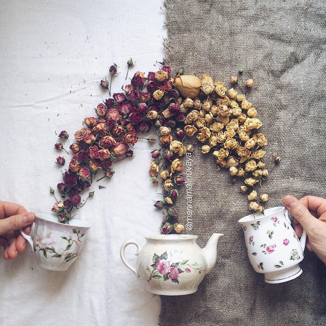 6 floral tea story by marina malinovaya