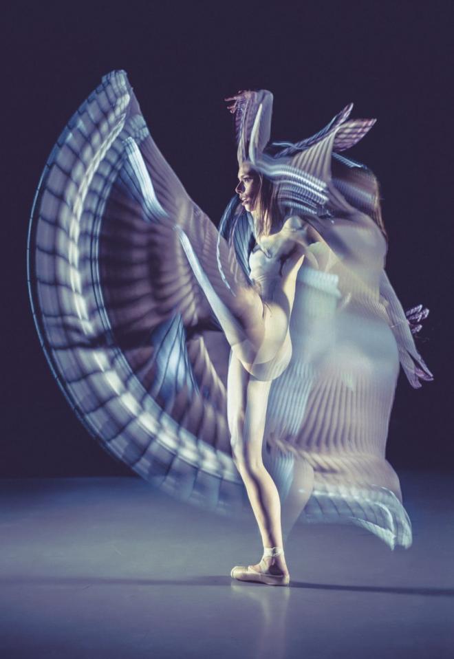 photography contest winners