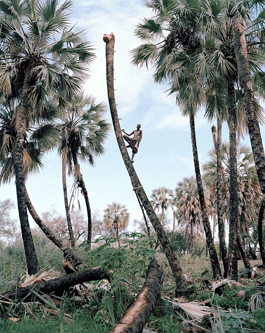 magnum photography awards