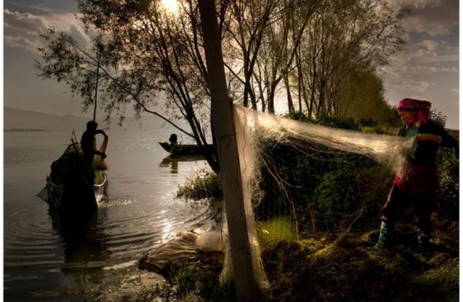 photography contest winners