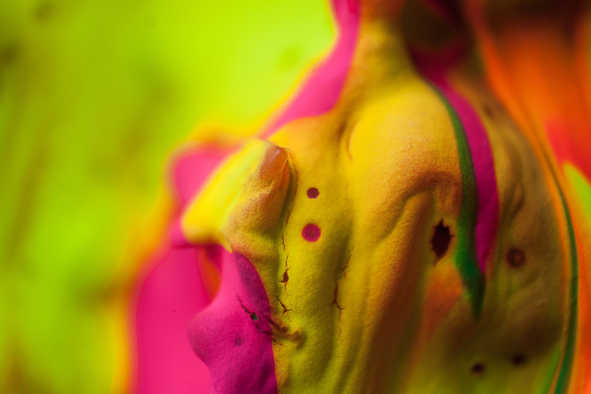 macro photography by albreto seveso