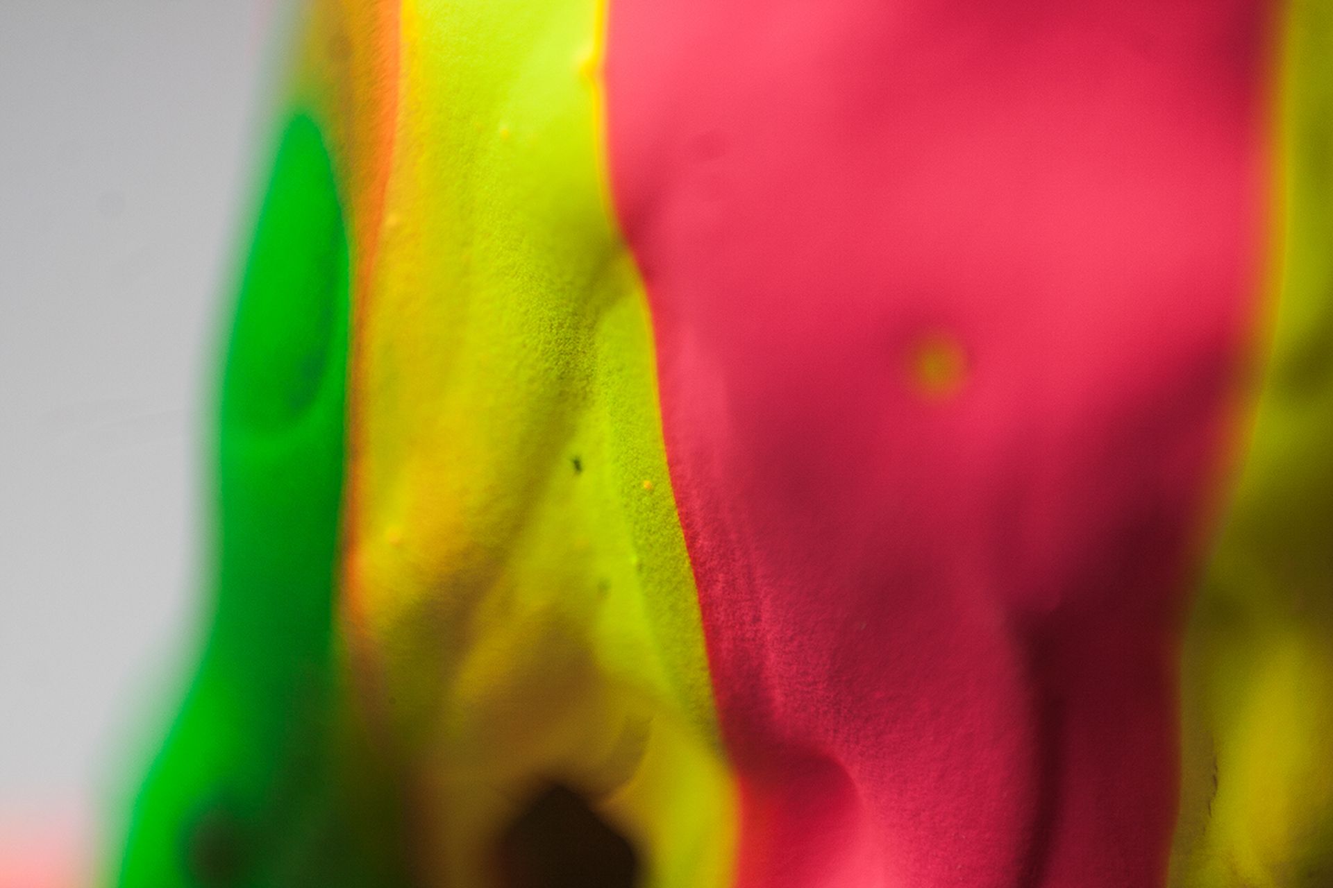 macro photography by albreto seveso