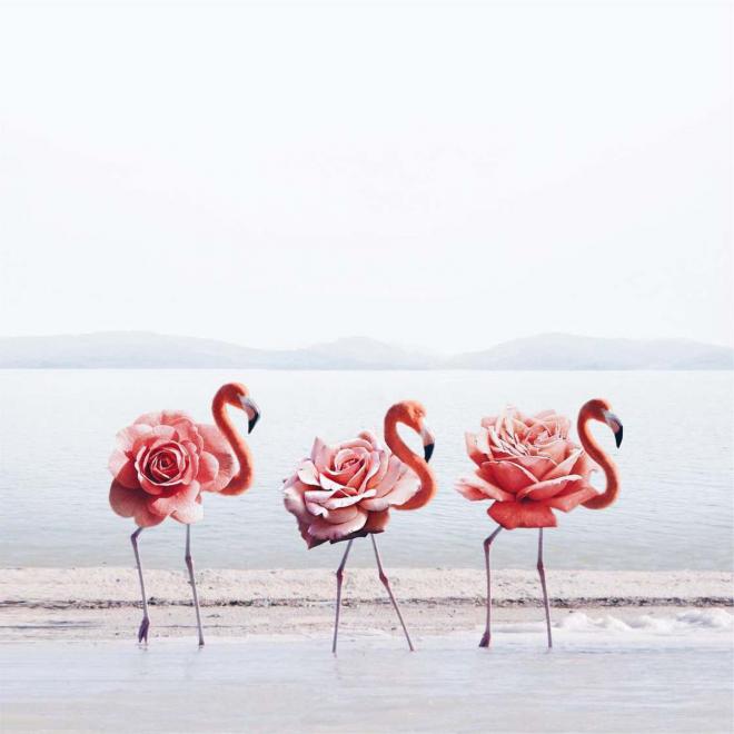 photo manipulation