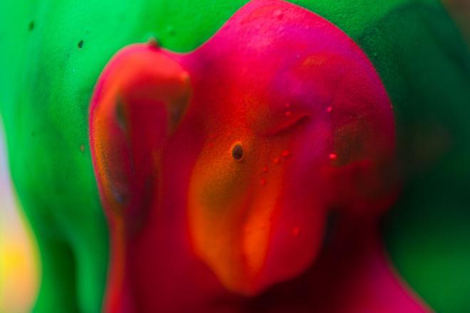macro photography