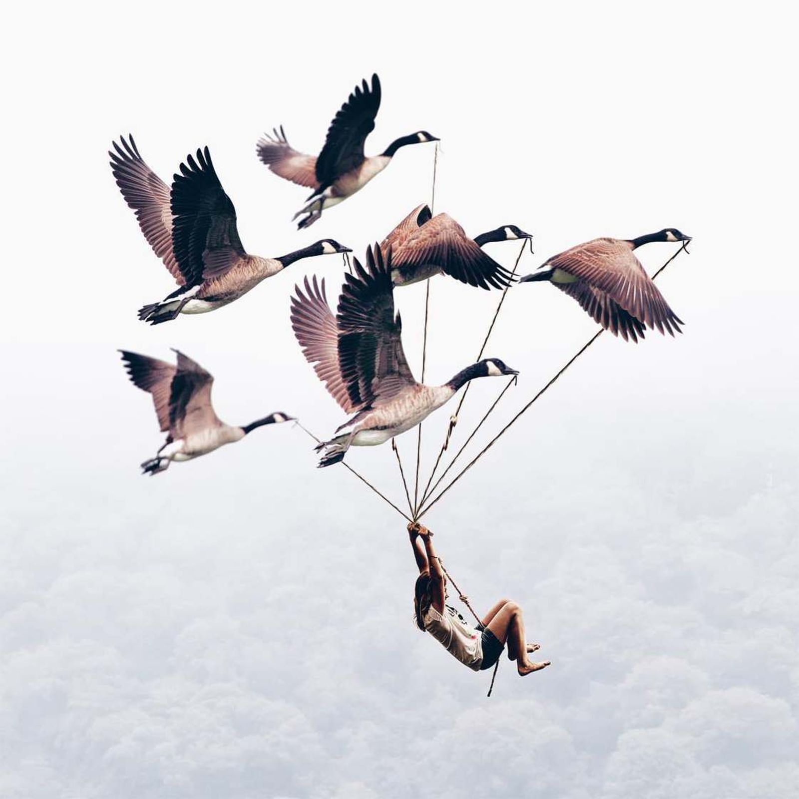 14 photo manipulation by luisa azevedo