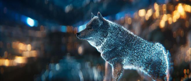 motion graphics animated ads tvc
