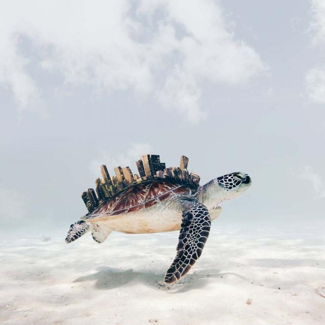 photo manipulation