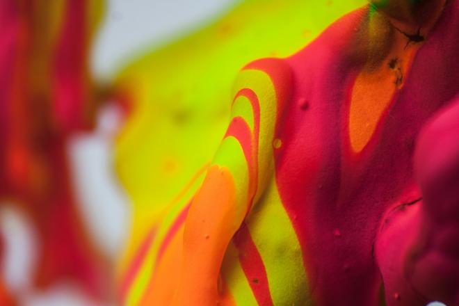 macro photography