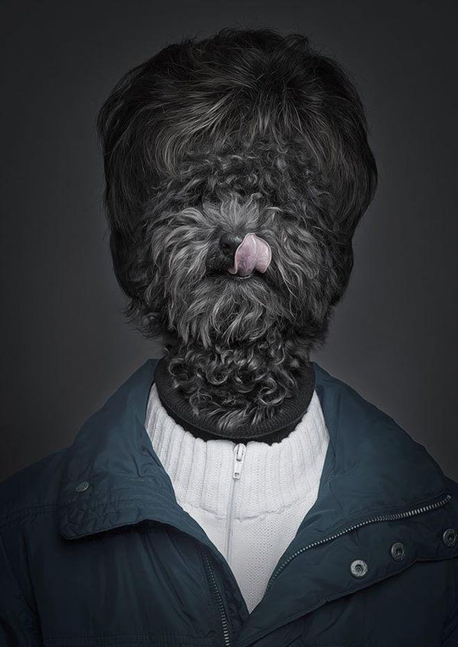 photo manipulations