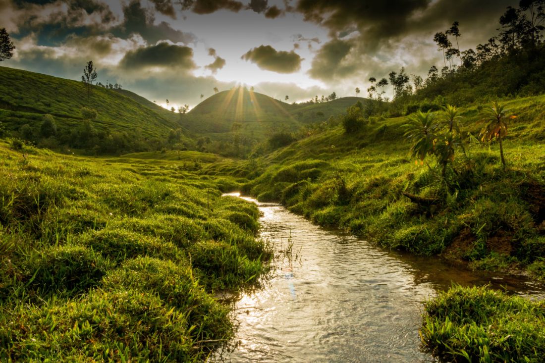 2 award winning photo by aravind mohanraj
