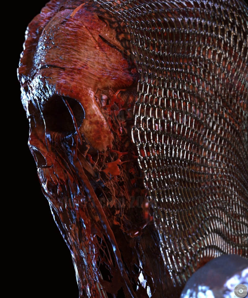 2 monster 3d models by calum andrews