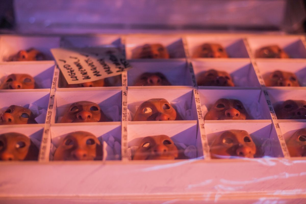 animation film malcolm hadley