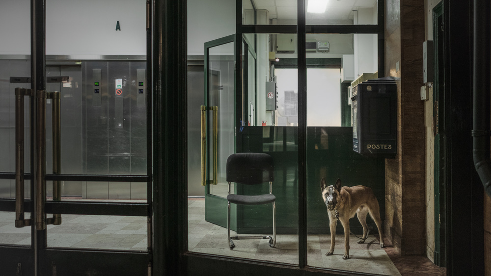 3 street photography contest by remy