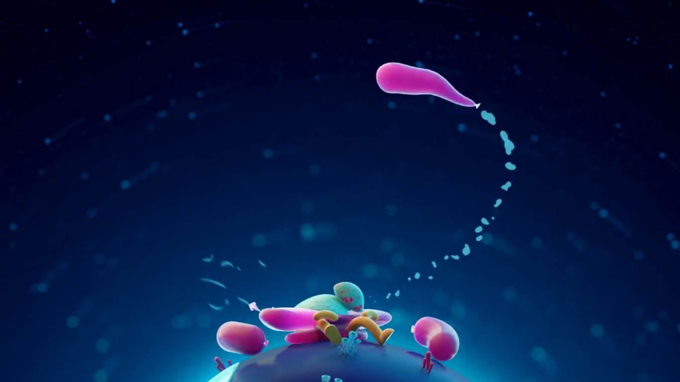 4 brothers short animation