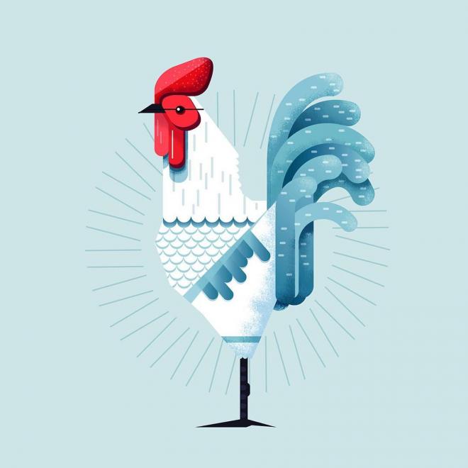 digital illustrations