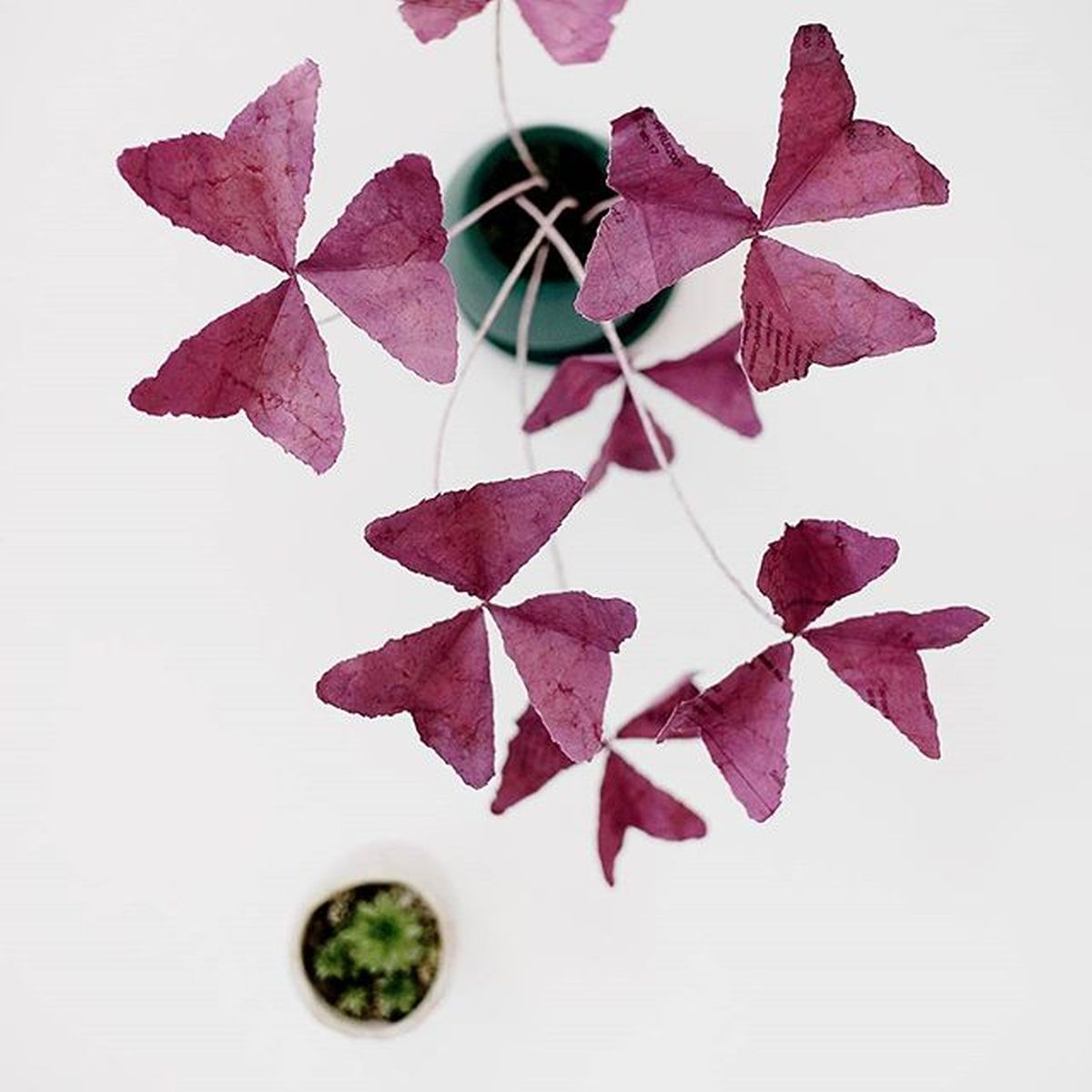 6 paper cut sculptures by john