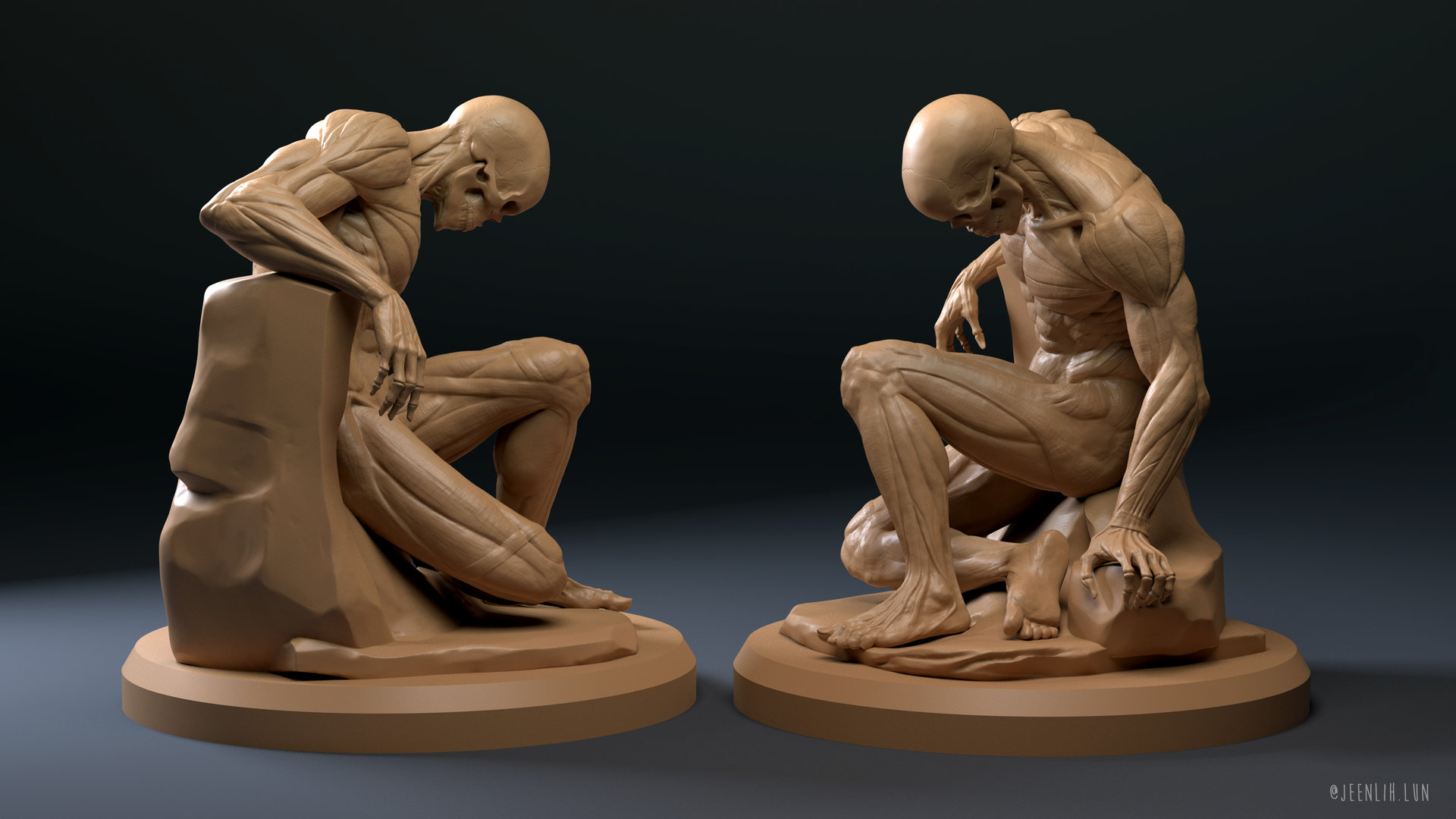 1 anatomustudy 3d model by jeen lih lun