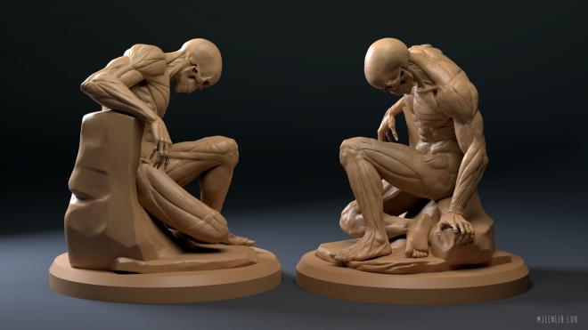 anatomustudy 3d model