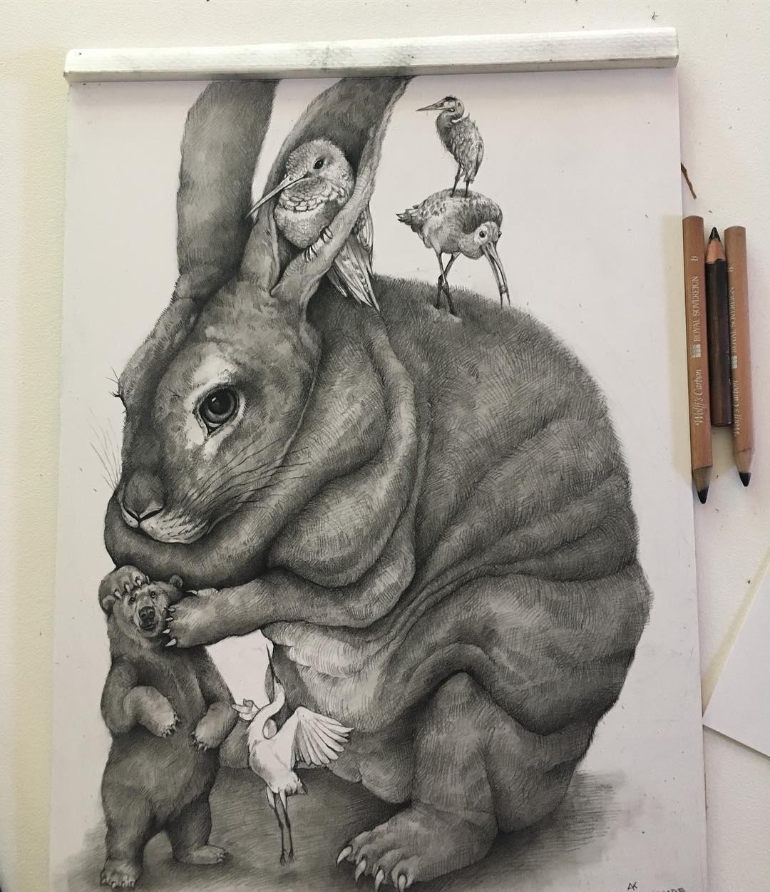 10 rabbit funny drawing by adonna khare