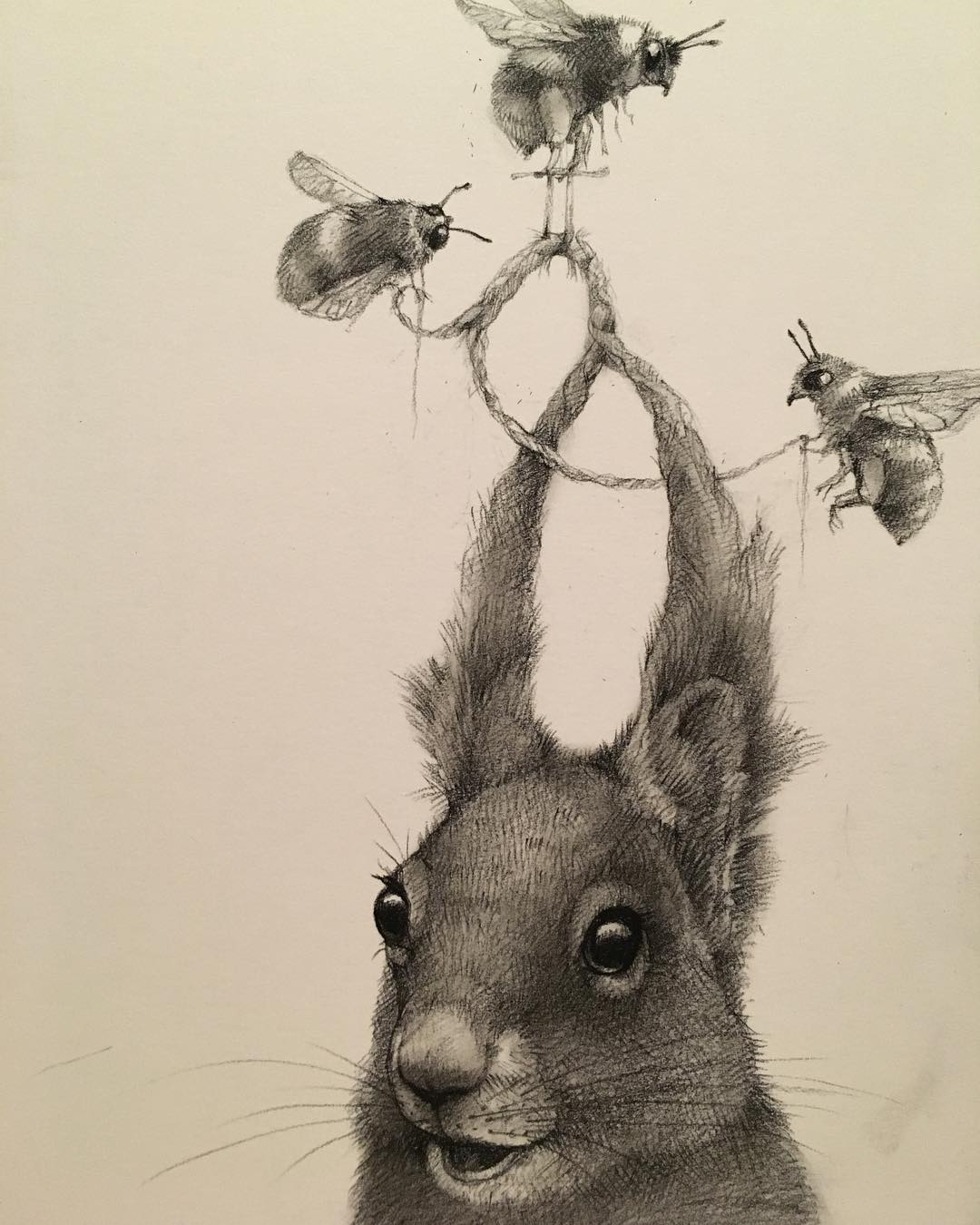 12 rabbit funny drawing by adonna khare