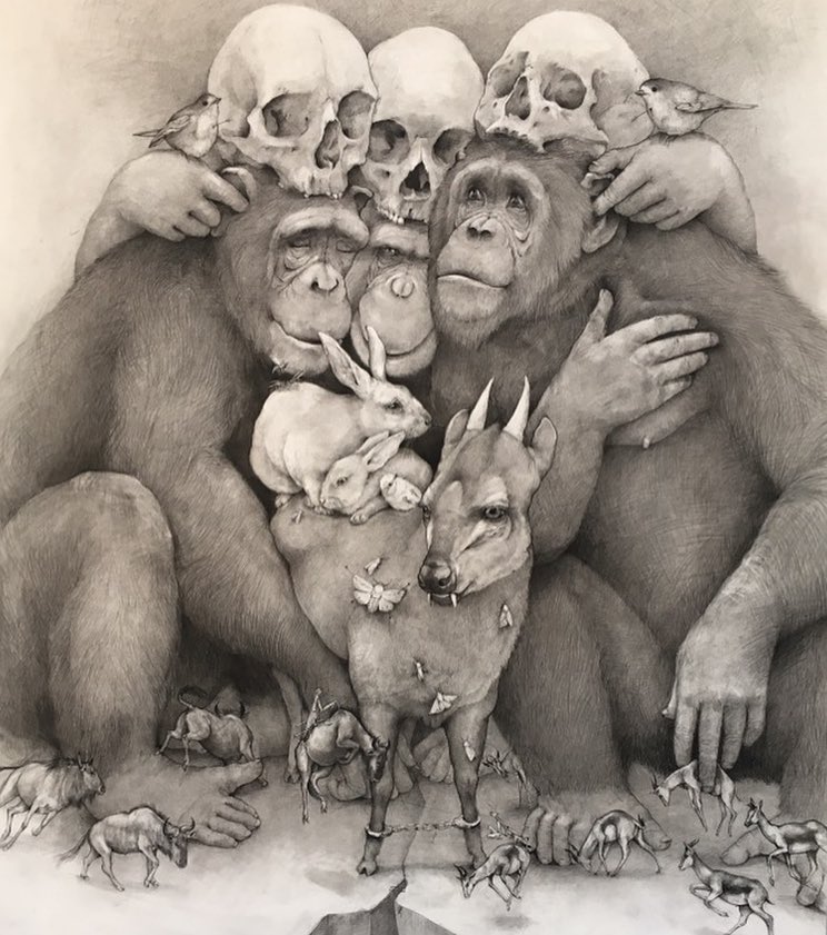 13 monkey funny drawing by adonna khare
