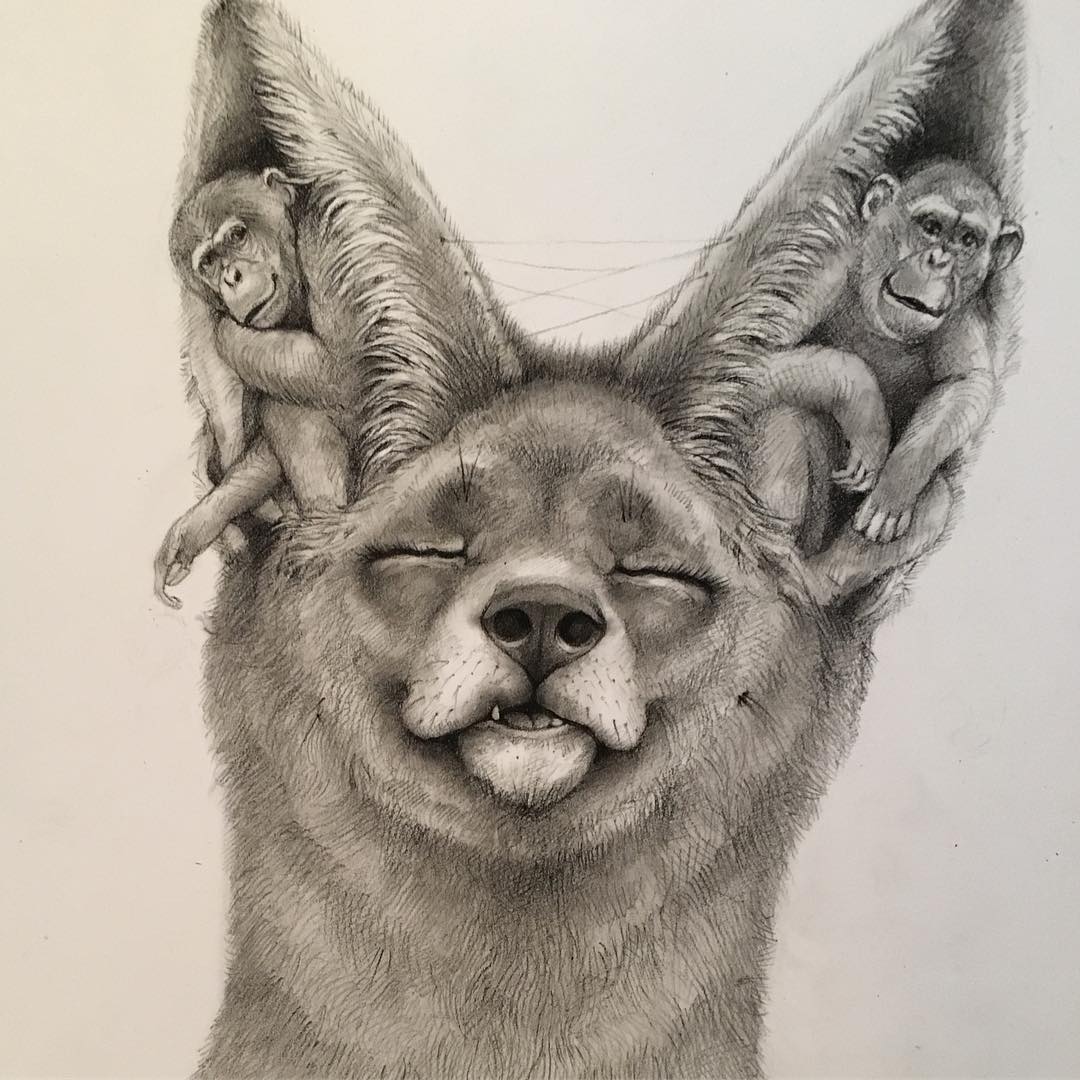15 fox funny drawing by adonna khare