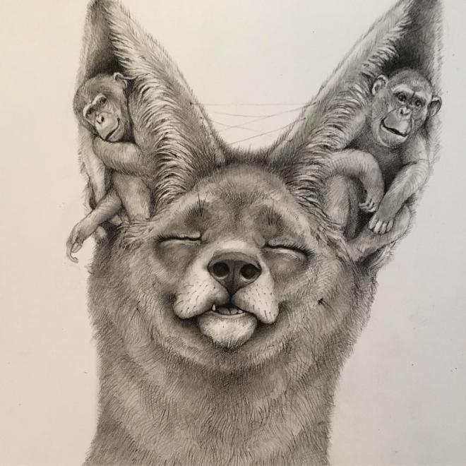 fox funny drawing