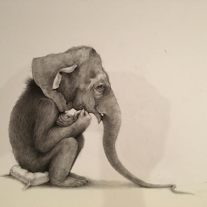 elephant mask funny drawing