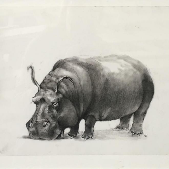 hippo funny drawing