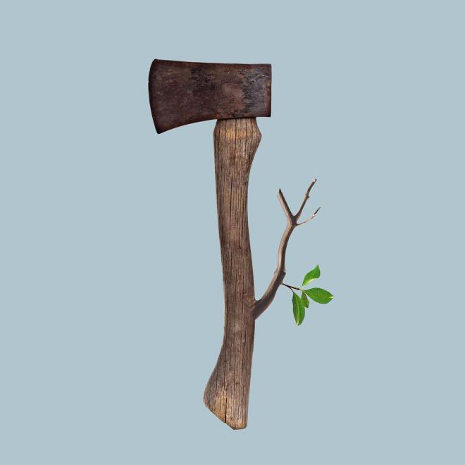 axe photo manipulation