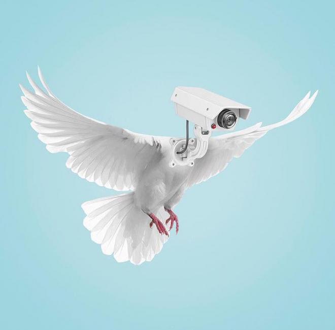 birdeye photo manipulation