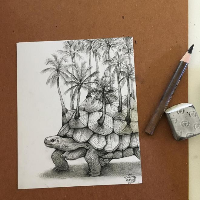tortoise funny drawing