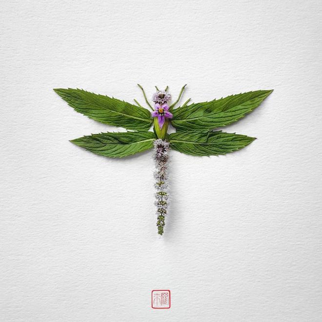creative art idea flower