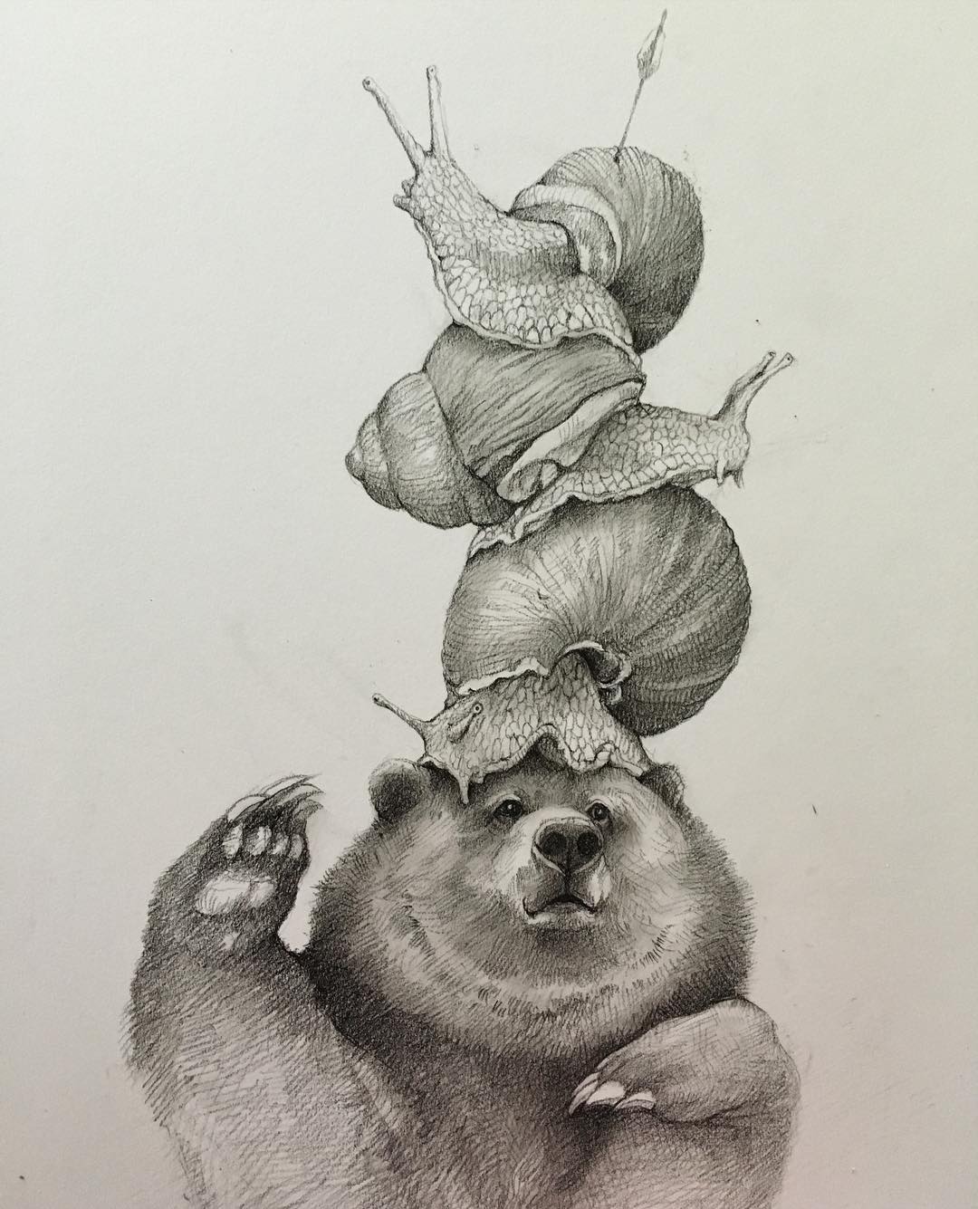 9 bear funny drawing by adonna khare
