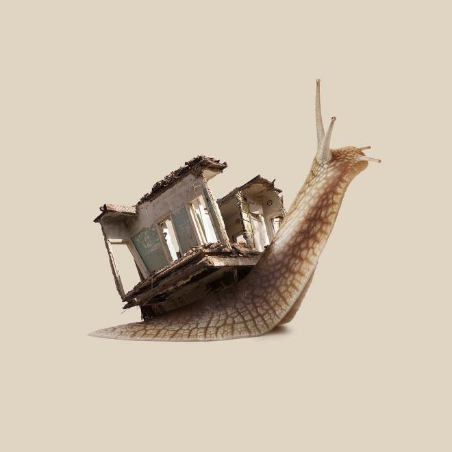 snail photo manipulation
