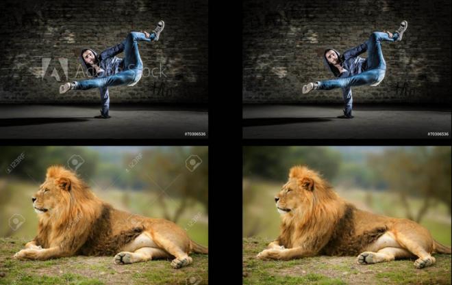 lion google watermark