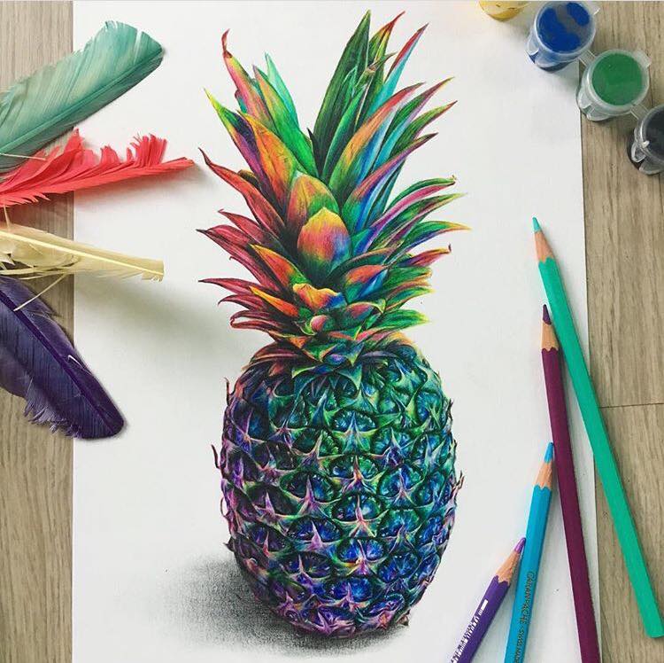 1 pineapple color pencil drawing by leona chui