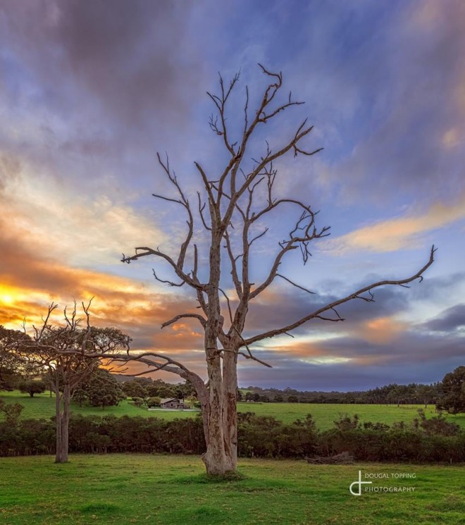 sunset nature photography